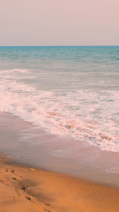 Video Manifeste 2026 1Look By Adé